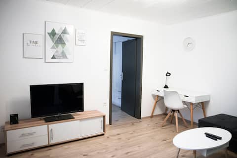 Top performing Airbnb: Modern apartment Ludwigshafen/Mannheim in Ludwigshafen Am Rhein