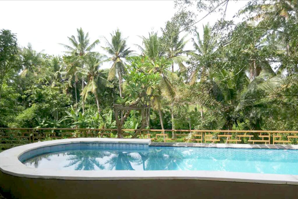 Georgeous Rice Padi River View Private Pool Villa