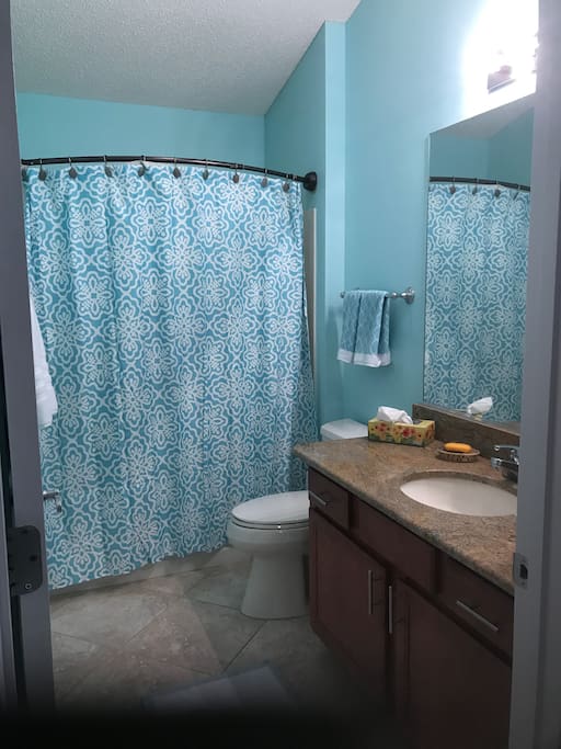 Guest Bathroom