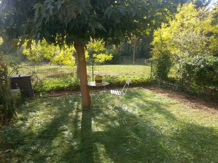 Jardin