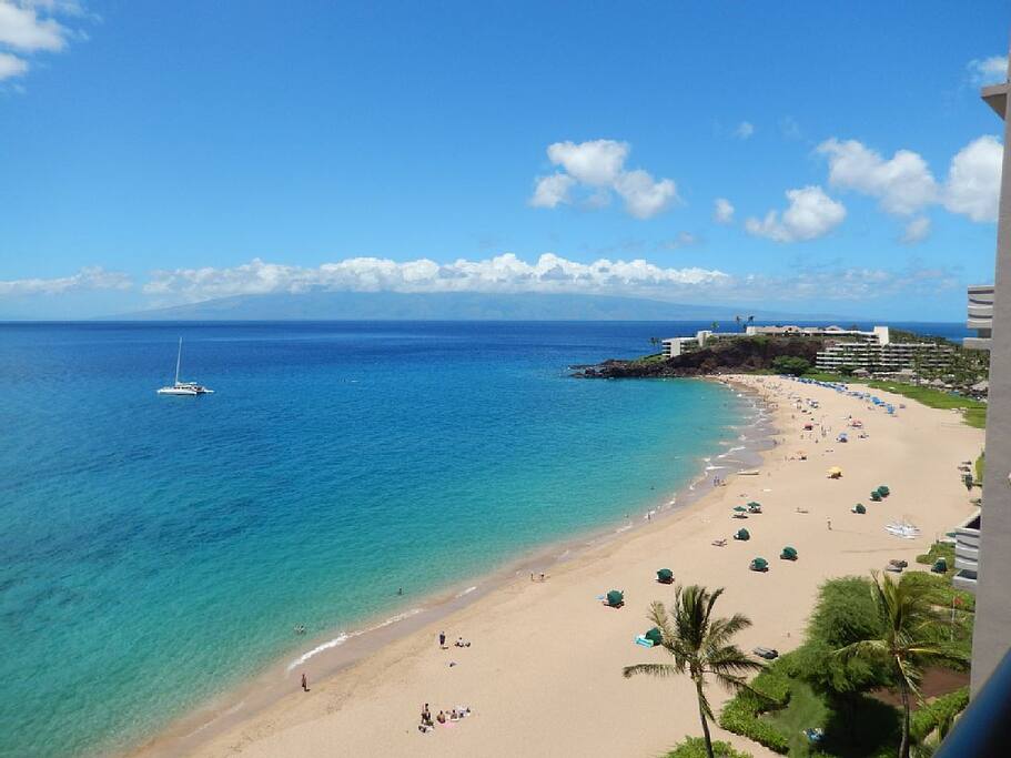 The Whaler Suite 1101 / 1BR + 2BA / Oceanfront ... The Whaler Suite 110