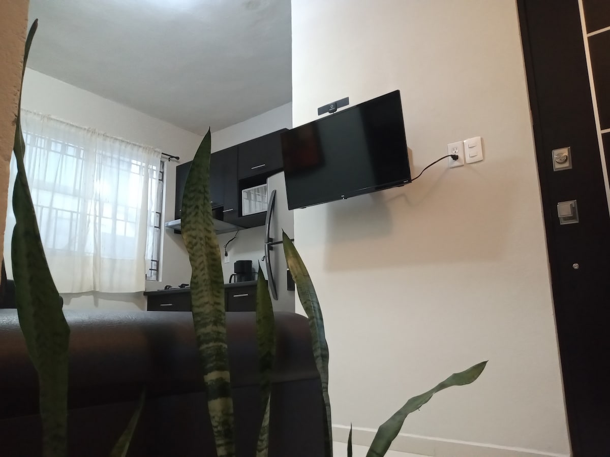 A modern kitchen area is visible with dark cabinetry and a wall-mounted smart TV. A reflective refrigerator is positioned nearby. Soft natural light is let in through a sheer curtain. Potted plants add a touch of greenery, enhancing the inviting space.