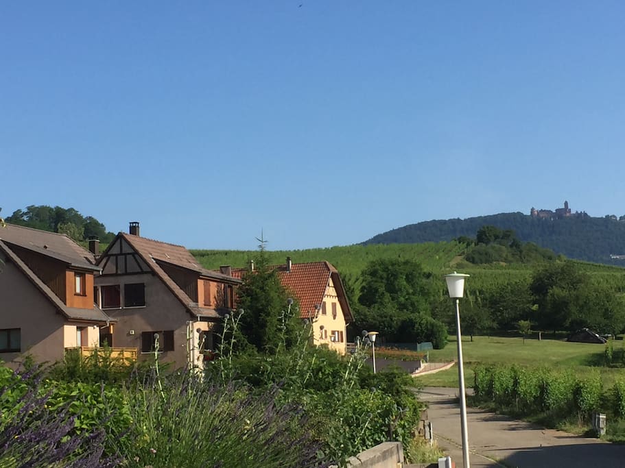 A 500mètre de la route des vins, soyez les bienvenus à la chambre verte au cœur du vignoble Alsacien