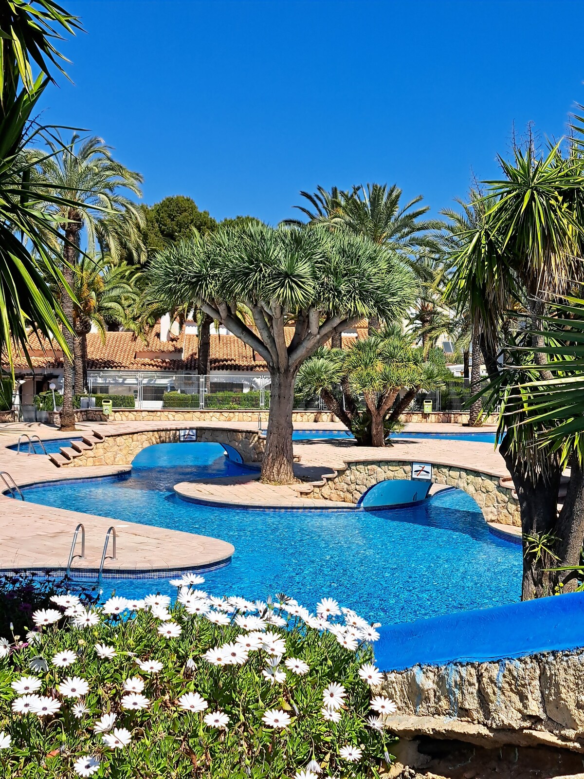 A large pool area is framed by palm trees and tropical plants, offering clear blue waters and inviting stone pathways. Sun loungers are positioned around the pool, with a bridge adding a charming touch to the serene landscape.