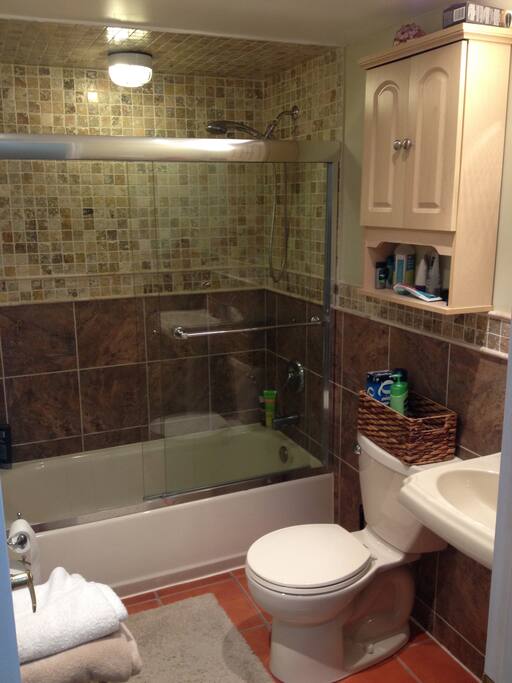 Bathroom with shower, toilet, sink, shampoo, soap, toothpase.