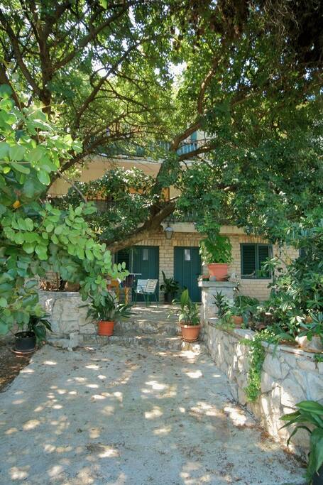 house