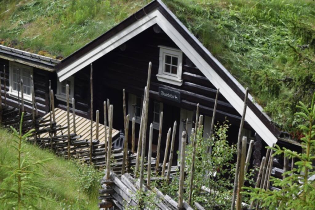 Omringet av klassisk skigard
