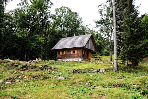 Mountain Chalet  at Vogar above Bohinj lake