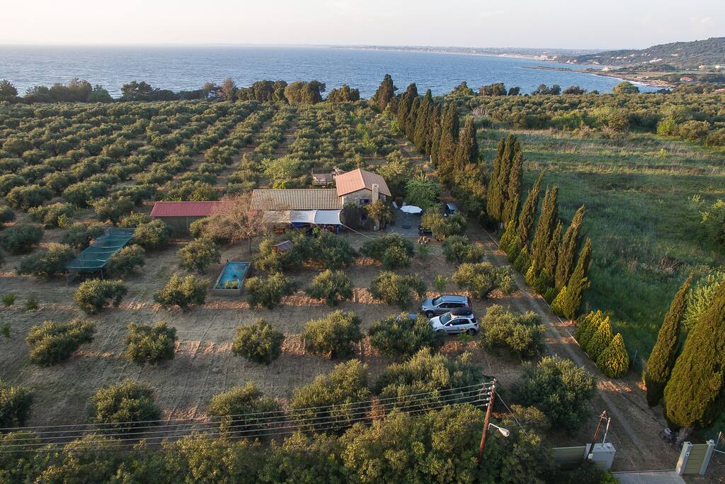 Bird's eye view of the property