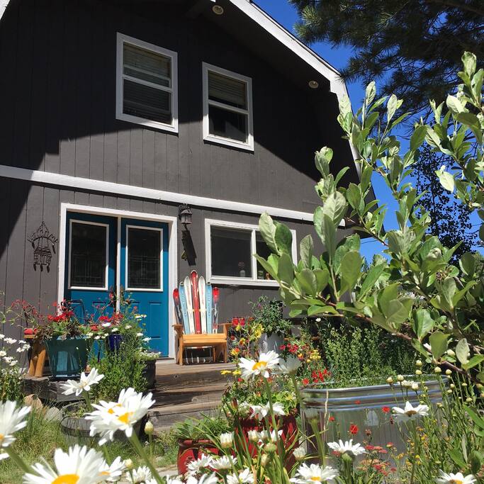 House in June
