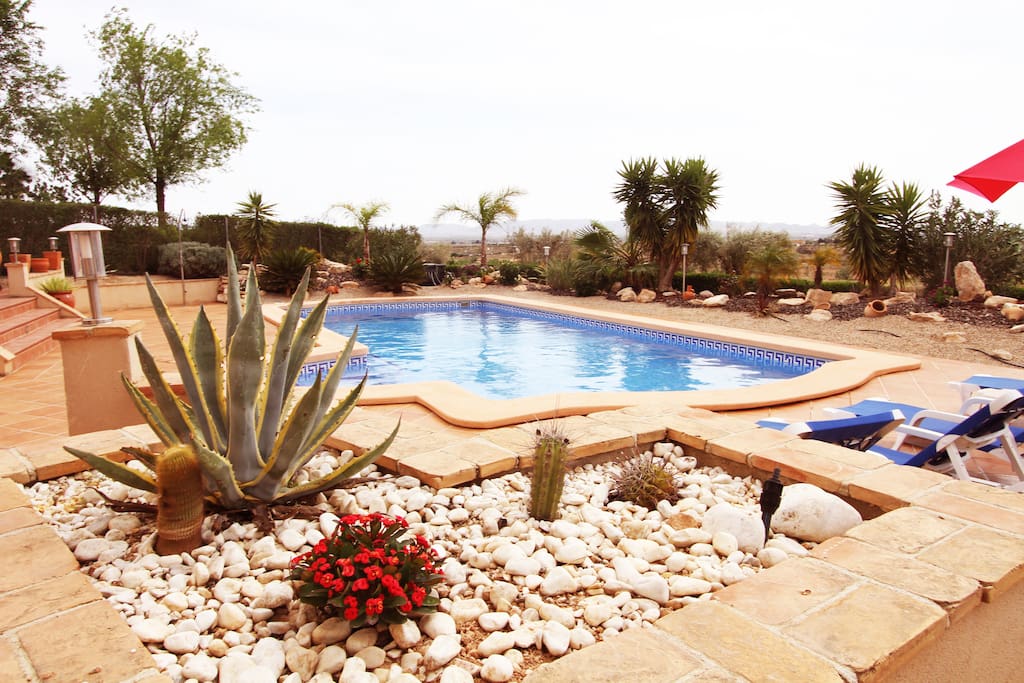 Pool, terraces and garden