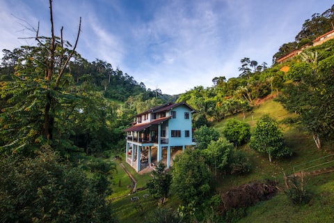 Rest. Pause. Rainforest Retreat