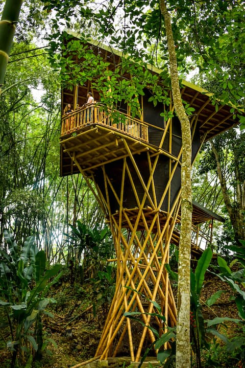 Elevated Cabin with Jacuzzi | Buga