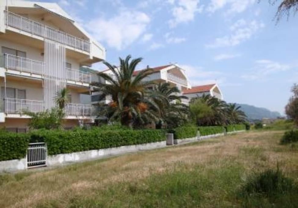 Side View