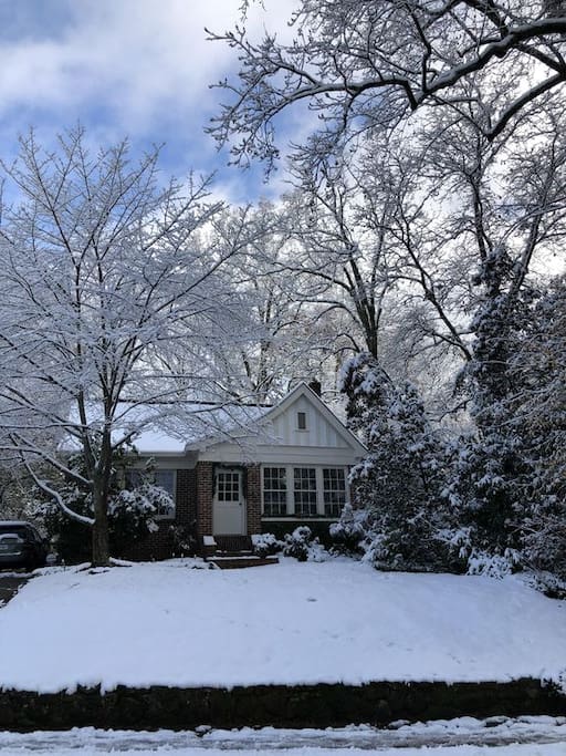 Our once a year snow dusting