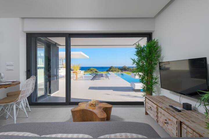 Royal Albatross Beach Front Villa gallery image 4