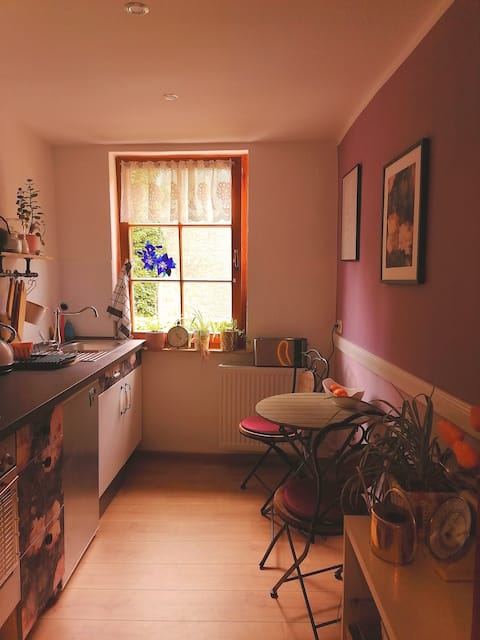 Top performing Airbnb: Lovingly furnished old town apartment in Worms