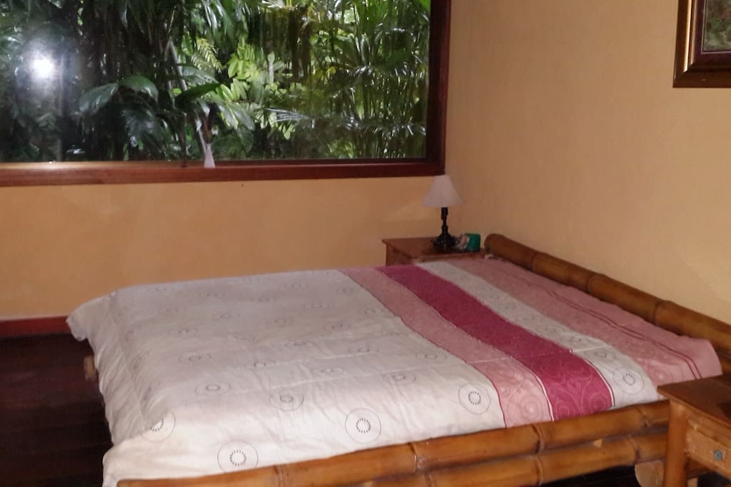 the room with direct view in the jungle