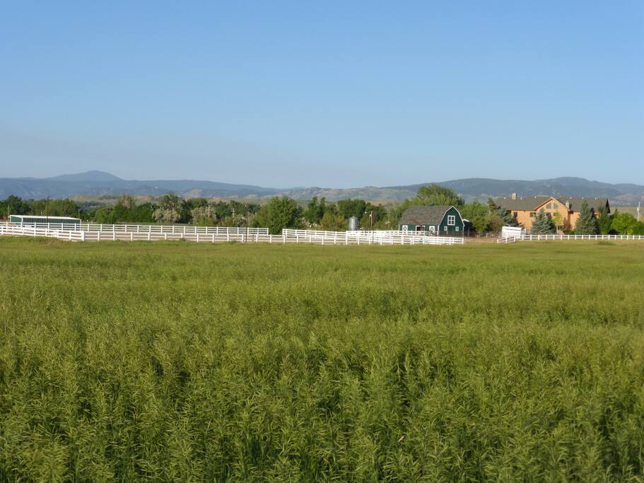 Property View from hayfields