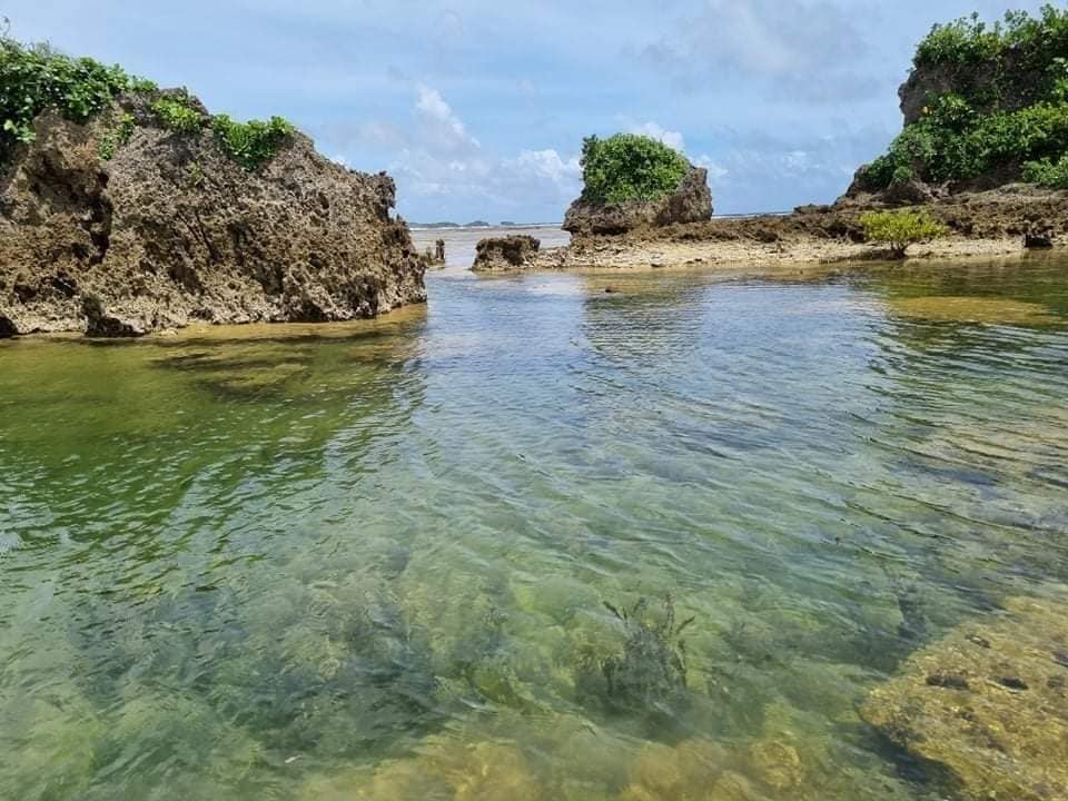 Clear waters reflect the sky, surrounded by natural rocky formations covered in greenery. The landscape features small patches of sand and visible marine life in the shallow areas, offering a serene and inviting coastal environment.