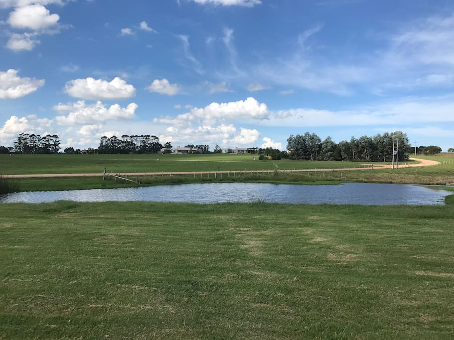 Lago en el frente de la casa