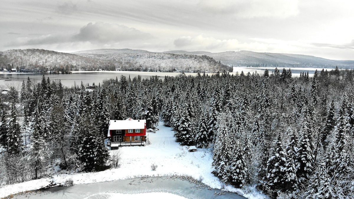 An aerial view displays a log cabin with a red exterior surrounded by a blanket of fresh snow. The cabin is bordered by tall evergreen trees and a partially frozen lake, set against a backdrop of snow-covered hills and a cloudy sky.