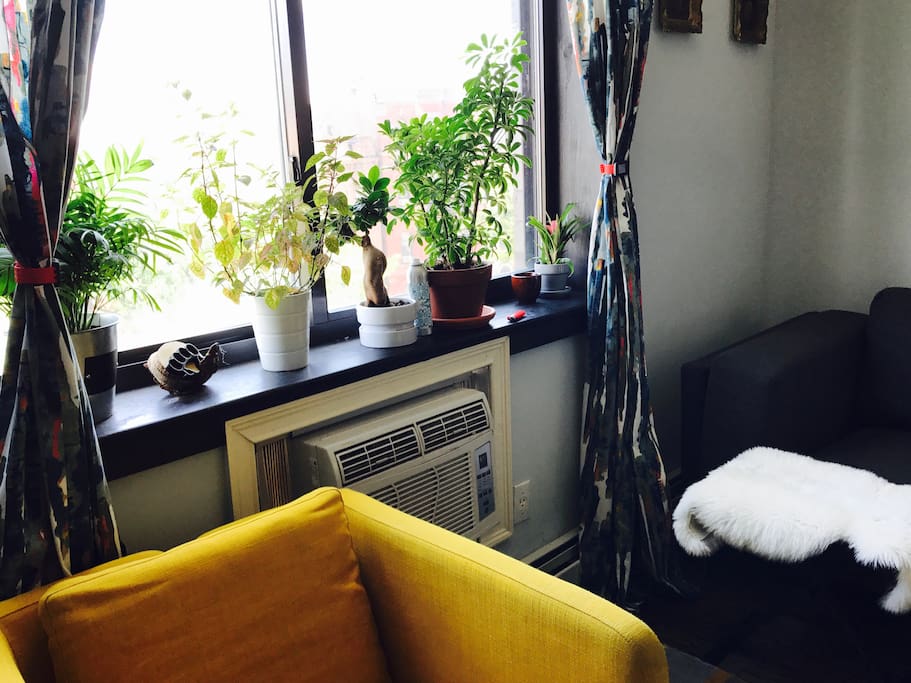 Living Room (downstairs)