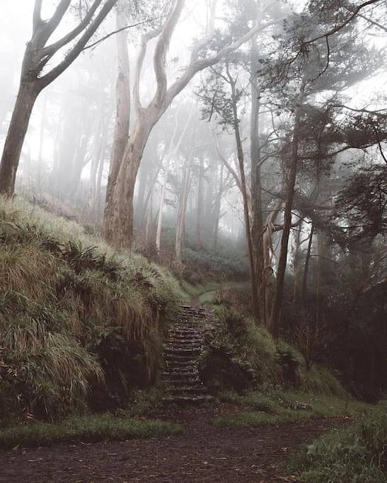 Photo of Mount Davidson in Sunnyside