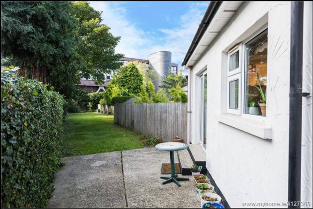 Back yard and garden