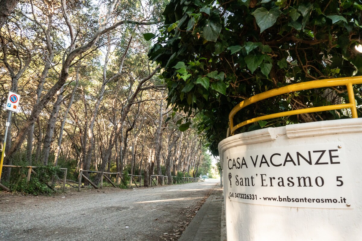 Casa vacanza SantErasmo 5 (Ginosa Marina) - Villas for Rent in Marina di  Ginosa, Puglia, Italy, Italy - Airbnb