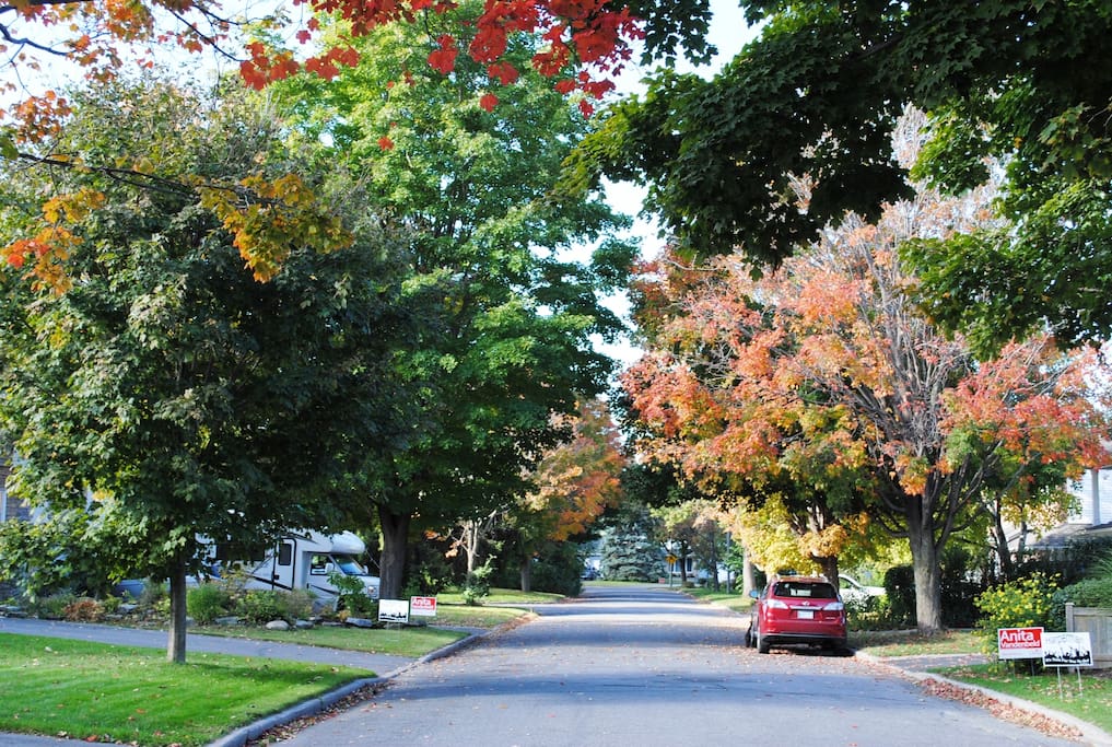 My street,, tranquil