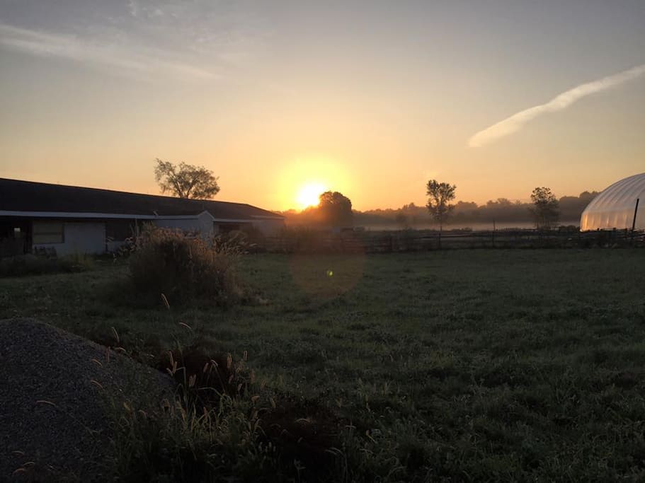 sunrise from your front window