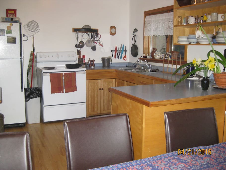 kitchen shared with host