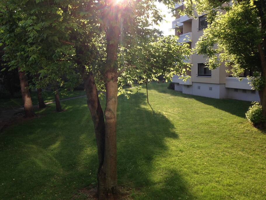 Zimmerausblick