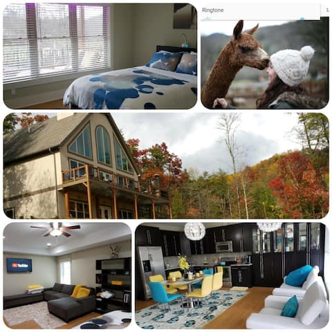 Luxury Mountain Hideout! Wineries, Hike, Relax!