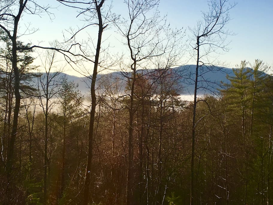 Late Winter View