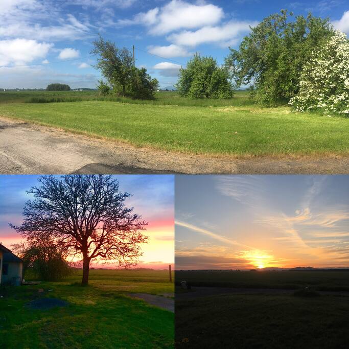 Beautiful country setting to pitch your tent and enjoy the eclipse!!