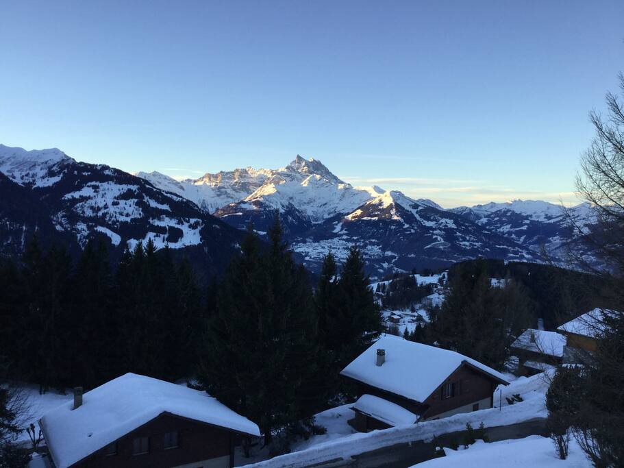 Winter Mountain Views