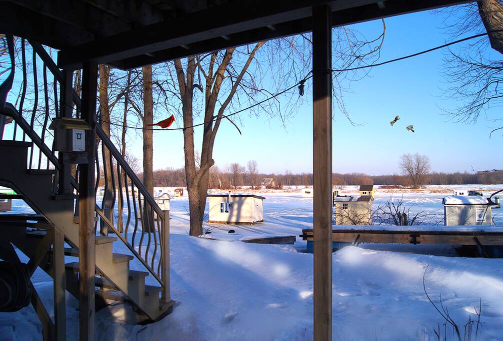 Vue sur le fleuve - en hiver / Water front - winter time