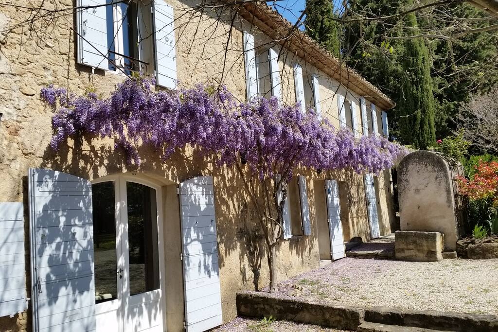 Entrée avec treille/Entrance w. arbor (Le Puits)