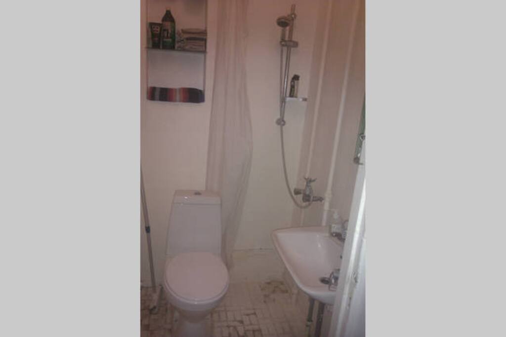 Small bathroom, toilet and shower in the same room. Shared.