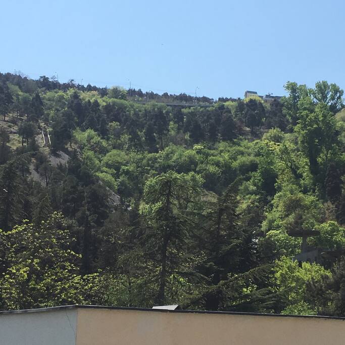 view from balcony
