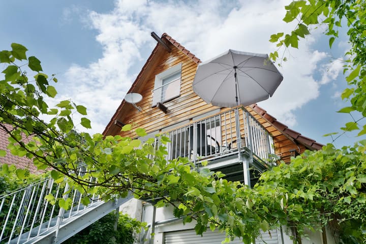 Discover vineyards, nature, vineyards and surroundings