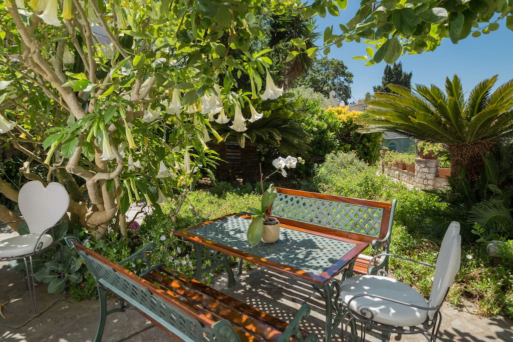 Giardino