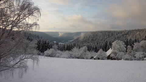 Black Forest Appartment with a beautiful view