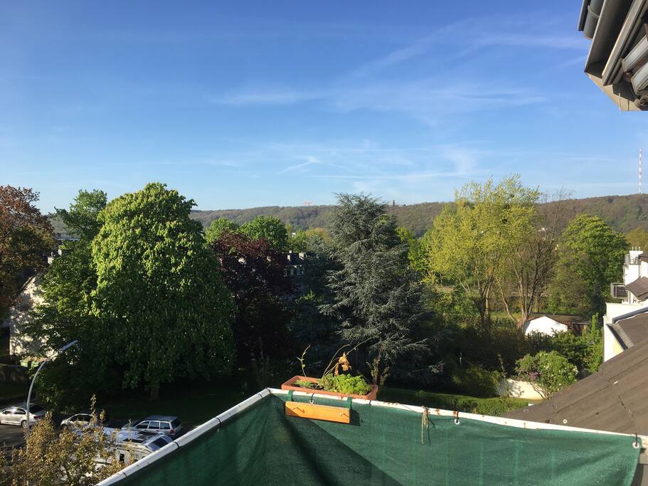 view from the balcony 2