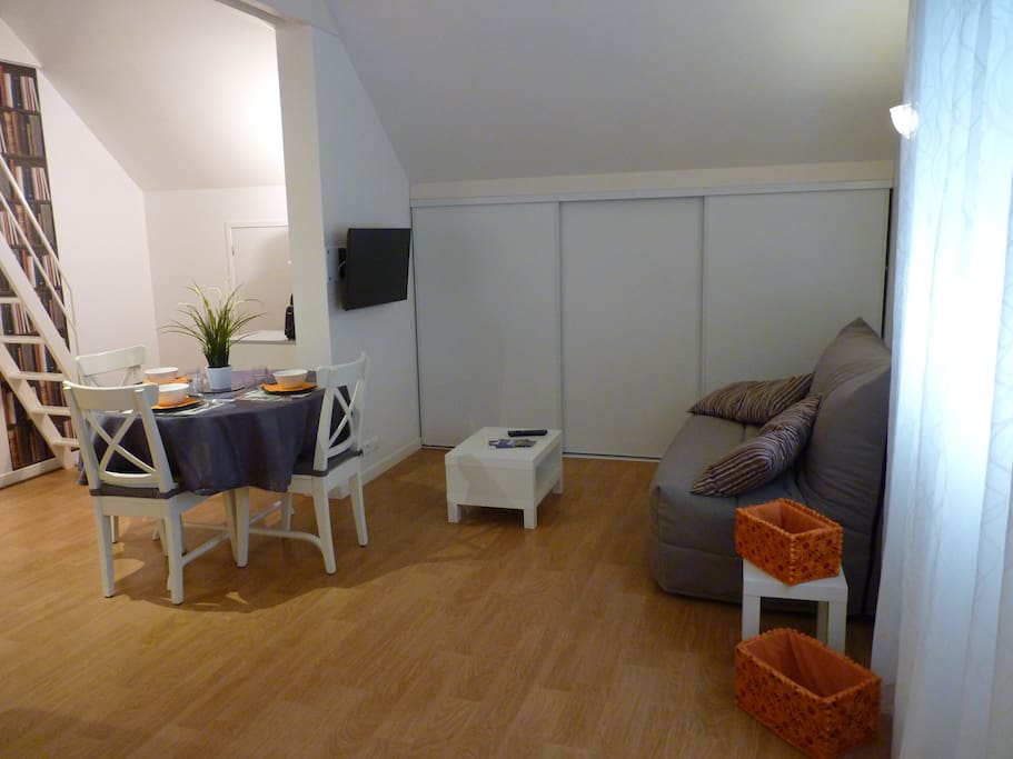 Espace TV et le canapé-lit (couchage 140)