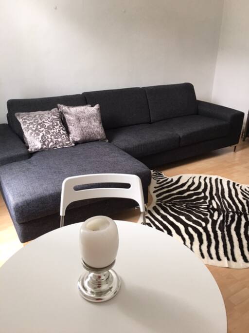 Comfy modern sofa and furnishings