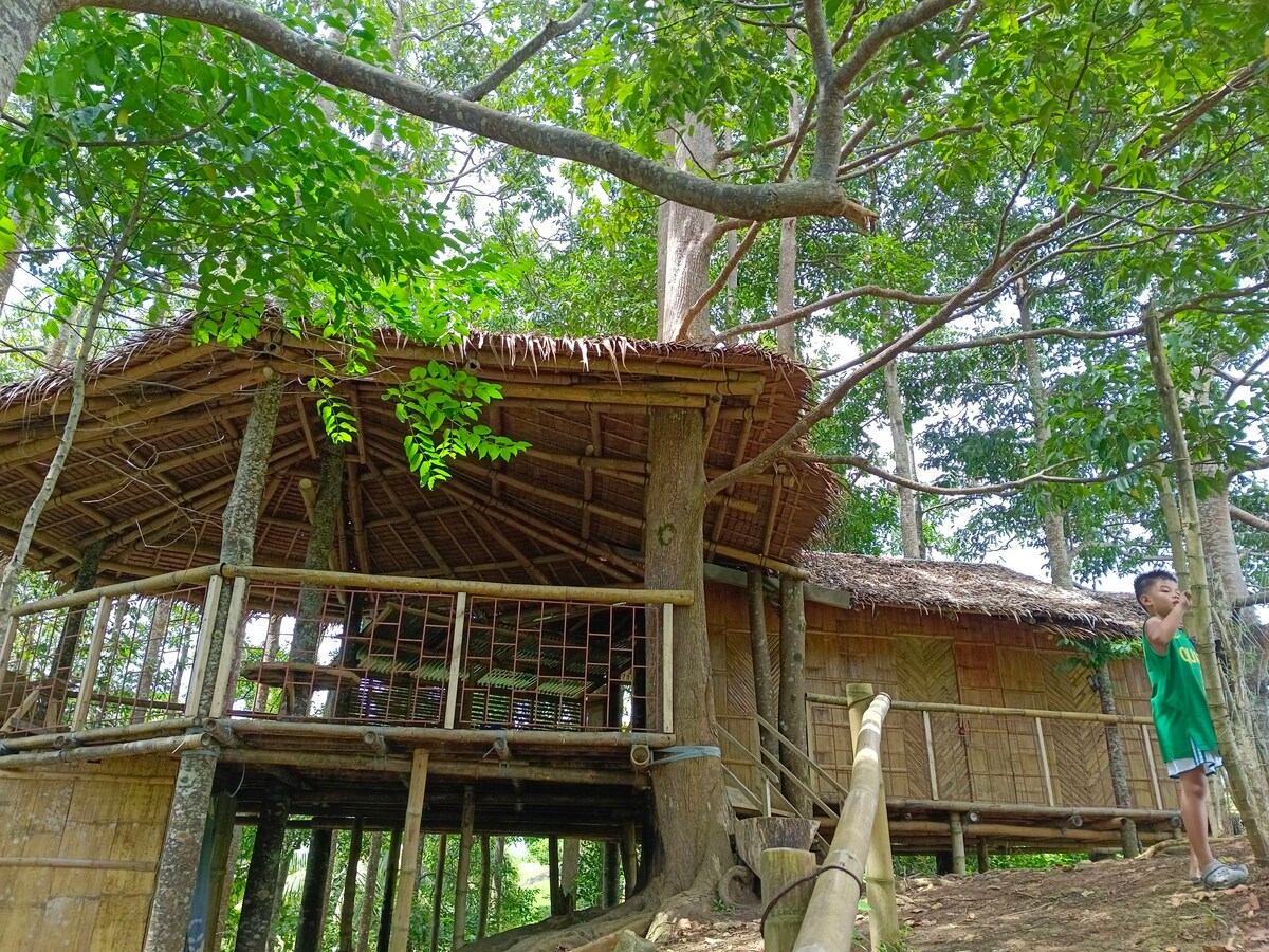 The treehouse is elevated among towering trees, featuring a thatched roof and bamboo walls. It is surrounded by lush greenery, with a staircase leading up to the entrance. Natural light filters through the leaves, creating a peaceful ambiance.