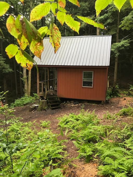 Sanctuary in August